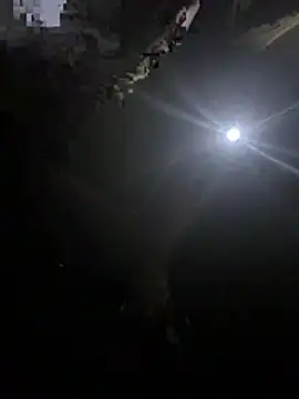 makemestayhard online show from 6, 3, 2026