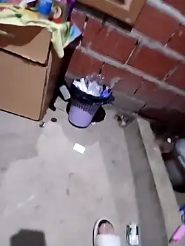 elvergon23139 online show from 11, 3, 2026