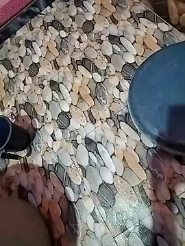 tamilpaiyan989 online show from 5, 4, 2026