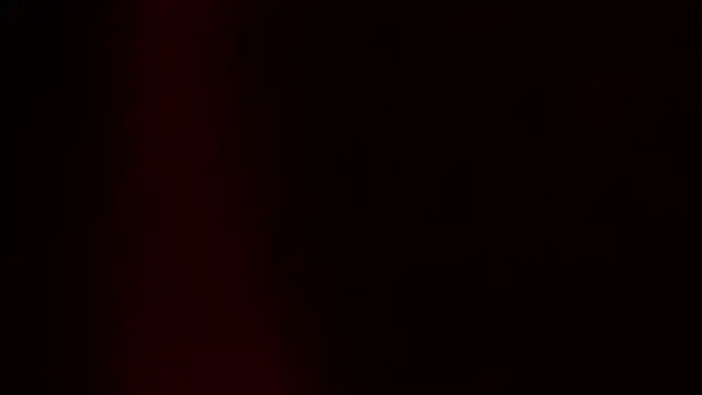 BambiRoses online show from 1, 7, 2026