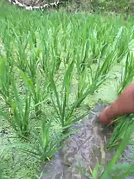 neyney110 online show from 20, 4, 2026