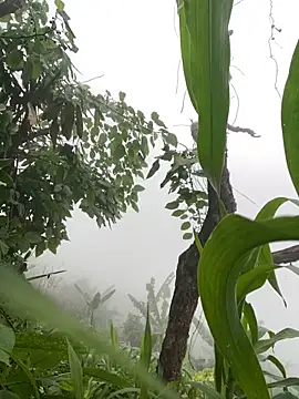 neyney110 online show from 24, 4, 2026