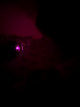 Snapshot of Raj_teluguboy chatting on 6, 3, 2026 Raj teluguboy online show from 6, 3, 2026