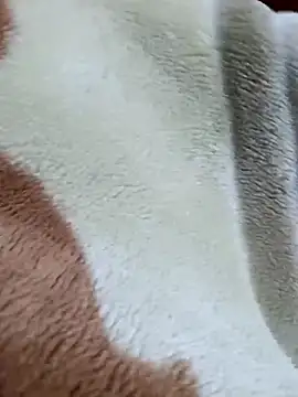 Vhi52 online show from 27, 4, 2026