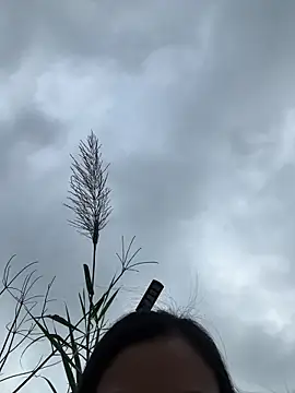 Caramel sexy online show from 7, 2, 2026