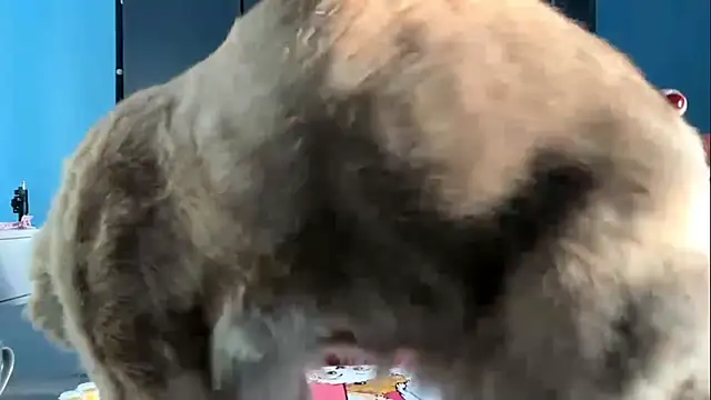 AndreeMerryman online show from 5, 2, 2026