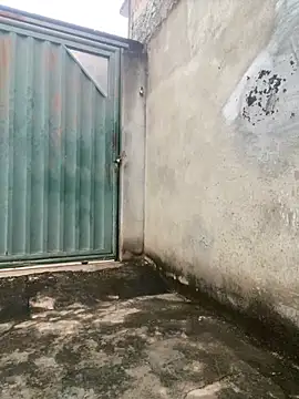 eu sofia online show from 6, 3, 2026