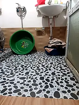 Tulip ii online show from 7, 3, 2026