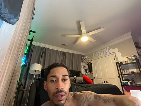 StillArQuez online show from 22, 7, 2026