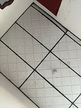 CarolineFyre online show from 22, 4, 2026