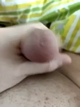 birzevkmeselesi online show from 3, 3, 2026