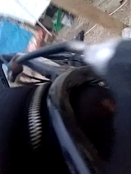 bigbooietx online show from 21, 2, 2026