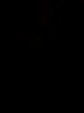 S7LEALTADPERVLIMA7 online show from 21, 6, 2026