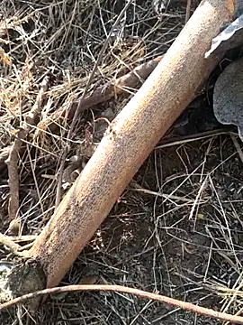 Snapshot of Vinita_cuty chatting on 9, 2, 2026 Vinita cuty online show from 9, 2, 2026