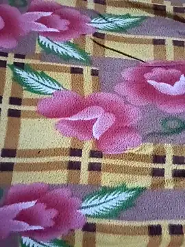 nanibabu7999 online show from 15, 4, 2026