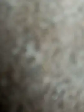 nanibabu7999 online show from 24, 4, 2026