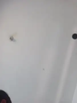 MeelFox online show from 27, 5, 2026