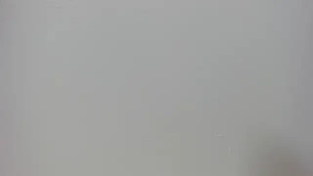 Raven love online show from 25, 4, 2026