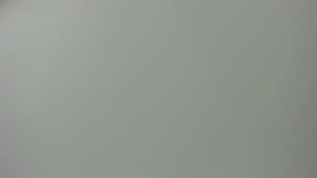 Raven love online show from 28, 4, 2026