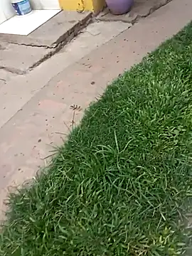 gordorichard online show from 4, 2, 2026