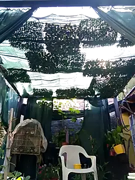 gordorichard online show from 21, 2, 2026