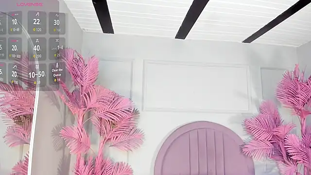 Nalapalmer online show from 9, 3, 2026