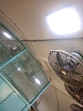 Talkwithsex online show from 4, 2, 2026