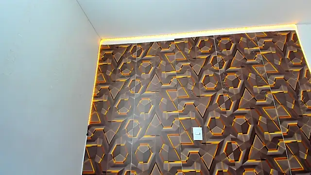 abbyyevanss online show from 19, 2, 2026