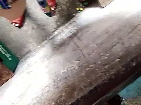 GeorginaLove09 online show from 25, 4, 2026