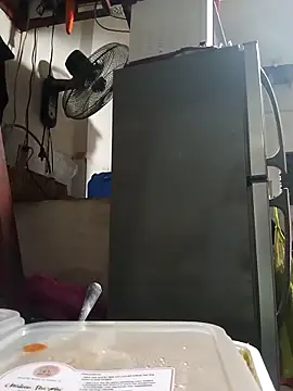 Wildcam21 online show from 24, 2, 2026