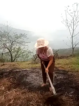 cuunon11 online show from 5, 3, 2026