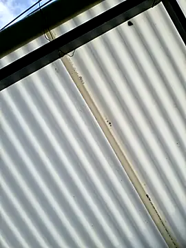 Pau 2007 online show from 9, 2, 2026