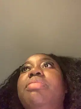 Stelly 75 online show from 10, 3, 2026