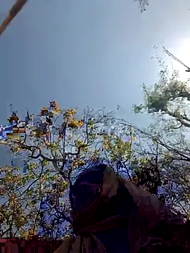 BIG CHAHAT online show from 10, 3, 2026