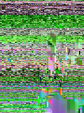 Rin-yiyi online show from 28, 2, 2026