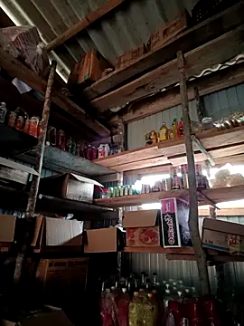 lisn-cute online show from 19, 4, 2026