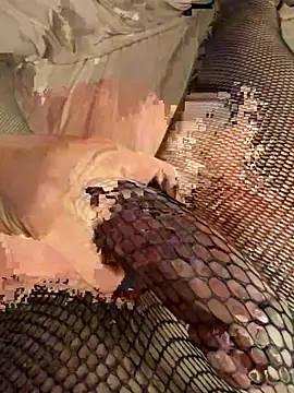 cappell0ne online show from 25, 4, 2026