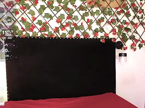 DakotaRouse1 online show from 10, 2, 2026