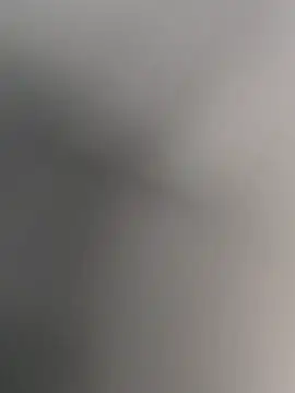 anitamadrid online show from 15, 2, 2026