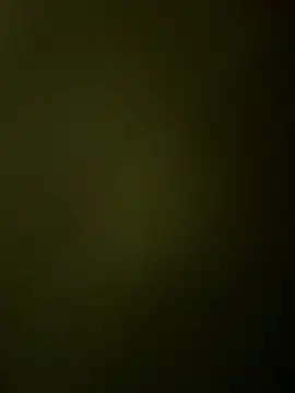 Ranjet01 online show from 5, 3, 2026