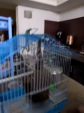 sexysilmy online show from 25, 2, 2026