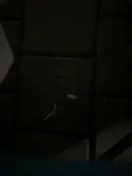 Darkhotcouple online show from 14, 2, 2026