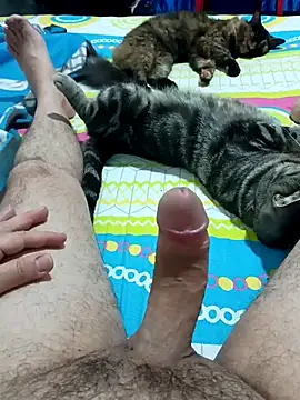 JFC161612 online show from 7, 4, 2026