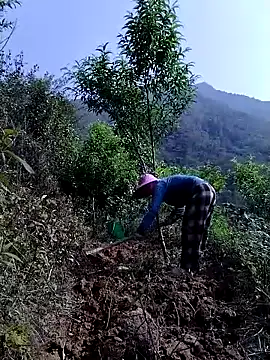 lovely-742 online show from 21, 4, 2026