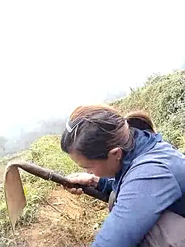 lovely-742 online show from 24, 4, 2026