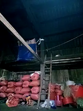 Susuu5790 online show from 24, 4, 2026