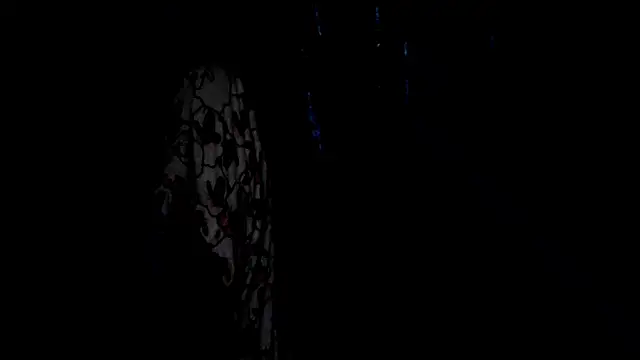 SassyXindian online show from 21, 4, 2026