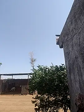 taniya0 online show from 23, 4, 2026