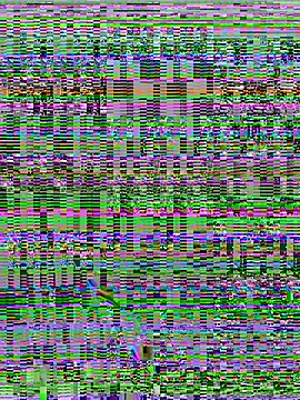 Snapshot of Valentinacouple chatting on 19, 5, 2026 Valentinacouple online show from 19, 5, 2026