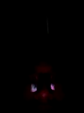 Rebexperience online show from 22, 3, 2026